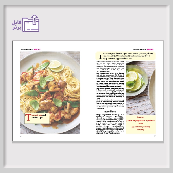 قالب مجله انگلیسی ایندیزاین